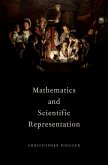 Mathematics and Scientific Representation (eBook, PDF)