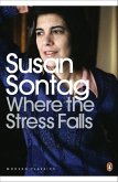 Where the Stress Falls (eBook, ePUB)