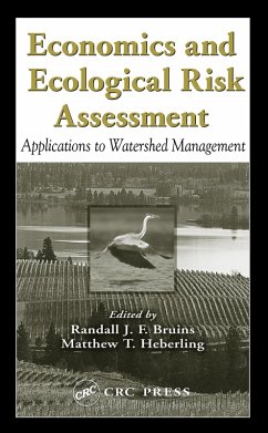 Economics and Ecological Risk Assessment (eBook, PDF)