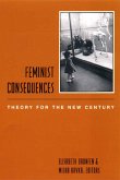 Feminist Consequences (eBook, ePUB)