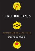 Three Big Bangs (eBook, ePUB)