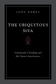 The Ubiquitous Siva (eBook, ePUB)
