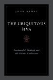 The Ubiquitous Siva (eBook, ePUB)
