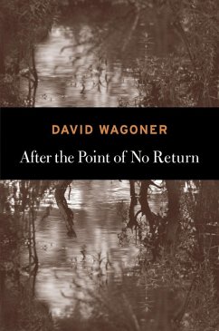 After the Point of No Return (eBook, ePUB) - Wagoner, David