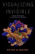 Visualizing the Invisible (eBook, PDF) - Bild 1