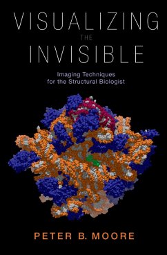 Visualizing the Invisible (eBook, PDF) - Moore, Peter