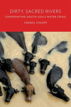 Cover Dirty, Sacred Rivers (eBook, ePUB)