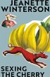 Sexing the Cherry (eBook, ePUB) - Bild 1