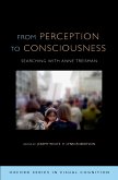 From Perception to Consciousness (eBook, PDF)