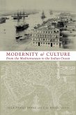 Modernity and Culture (eBook, ePUB)