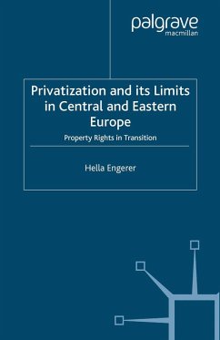 Privatisation and Its Limits in Central and Eastern Europe (eBook, PDF)