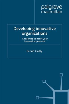 Developing Innovative Organizations (eBook, PDF) - Gailly, B.