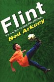 Flint (eBook, ePUB)