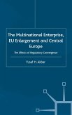 The Multinational Enterprise, EU Enlargement and Central Europe (eBook, PDF)