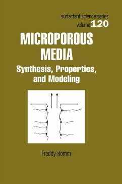 Microporous Media (eBook, PDF) - Romm, Freddy