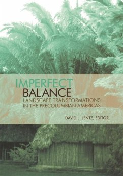 Cover Imperfect Balance (eBook, ePUB)