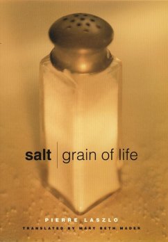 Cover Salt (eBook, ePUB)