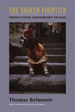 Cover The Broken Fountain (eBook, ePUB)