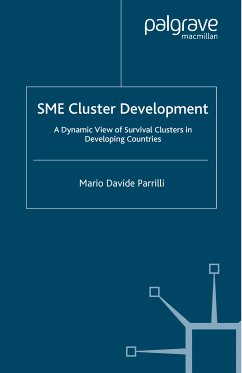 SME Cluster Development (eBook, PDF) - Parrilli, M.