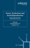 Power, Production and Social Reproduction (eBook, PDF)