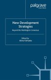 New Development Strategies (eBook, PDF)