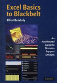 Excel Basics to Blackbelt (eBook, PDF)
