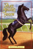 Black Stallion's Shadow (eBook, ePUB)