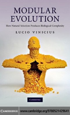 Cover Modular Evolution (eBook, PDF)
