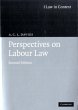 Perspectives on Labour Law (eBook, PDF) - Bild 1