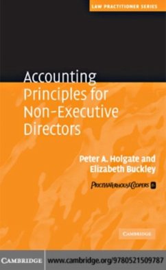 Accounting Principles for Non-Executive Directors (eBook, PDF) - Holgate, Peter