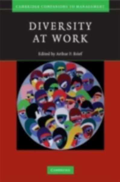 Diversity at Work (eBook, PDF) Diversity at Work (eBook, PDF)