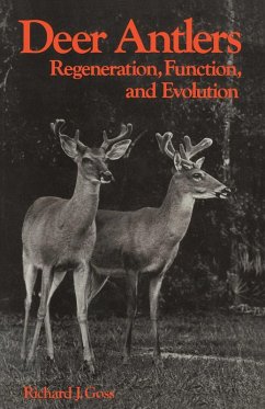Cover Deer Antlers (eBook, PDF)