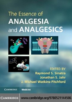 Essence of Analgesia and Analgesics (eBook, PDF)