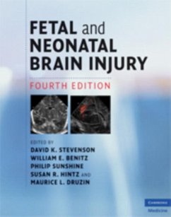 Fetal and Neonatal Brain Injury (eBook, PDF)