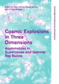 Cosmic Explosions in Three Dimensions (eBook, PDF)