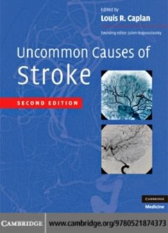 Cover Uncommon Causes of Stroke (eBook, PDF)