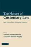 Nature of Customary Law (eBook, PDF)