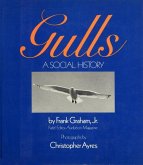 Gulls (eBook, ePUB)