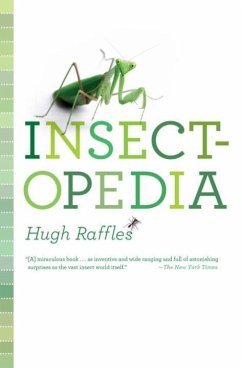 Insectopedia (eBook, ePUB) - Raffles, Hugh