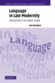 Language in Late Modernity (eBook, PDF)