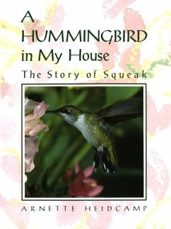 Cover A Hummingbird in My House (eBook, ePUB)