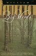 Big Woods (eBook, ePUB) - Bild 1
