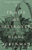 I Praise My Destroyer (eBook, ePUB)
