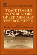Trace Fossils as Indicators of... - Bild 1