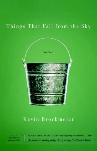 Things that Fall from the Sky (eBook, ePUB)