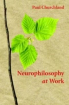 Neurophilosophy at Work (eBook, PDF) - Churchland, Paul