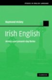 Irish English (eBook, PDF)