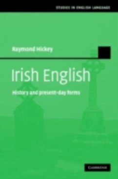 Cover Irish English (eBook, PDF)