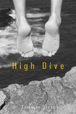 Cover High Dive (eBook, ePUB)