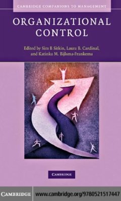 Cover Organizational Control (eBook, PDF)